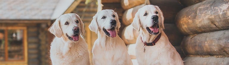 How you helped us to help you to “retrieve” lapsing patients in 2017