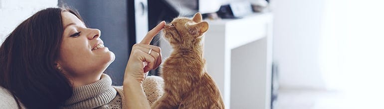 Should you make yours a certified cat friendly practice?