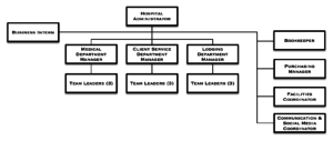 Example organizational structure with distributed responsibilities