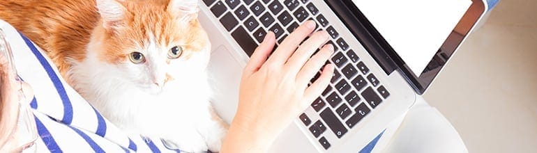 5 simple social media steps to help you promote your veterinary practice