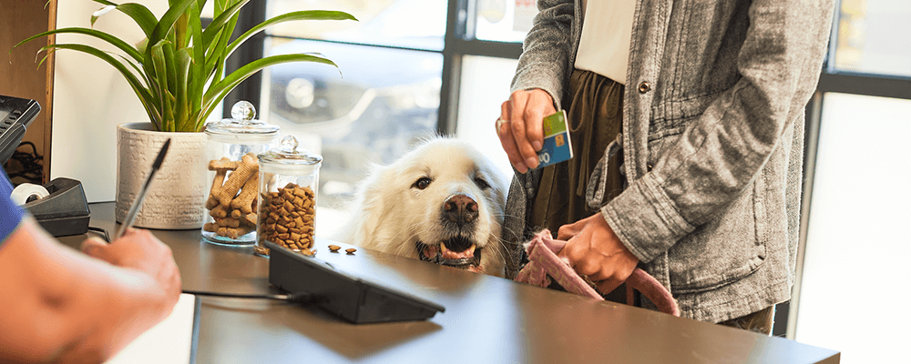 pet owner at veterinary reception desk