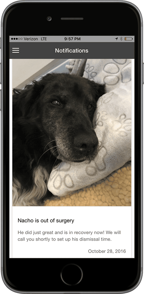 Push notification from custom app for a veterinary practice