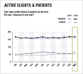 Active clients and patients per year