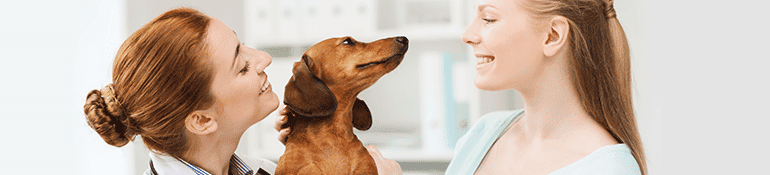 Female veterinarian, beagle, and a woman