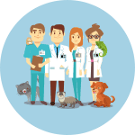 a group of veterinarians