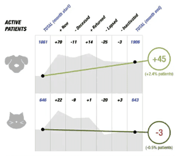 active patients chart for canine and feline