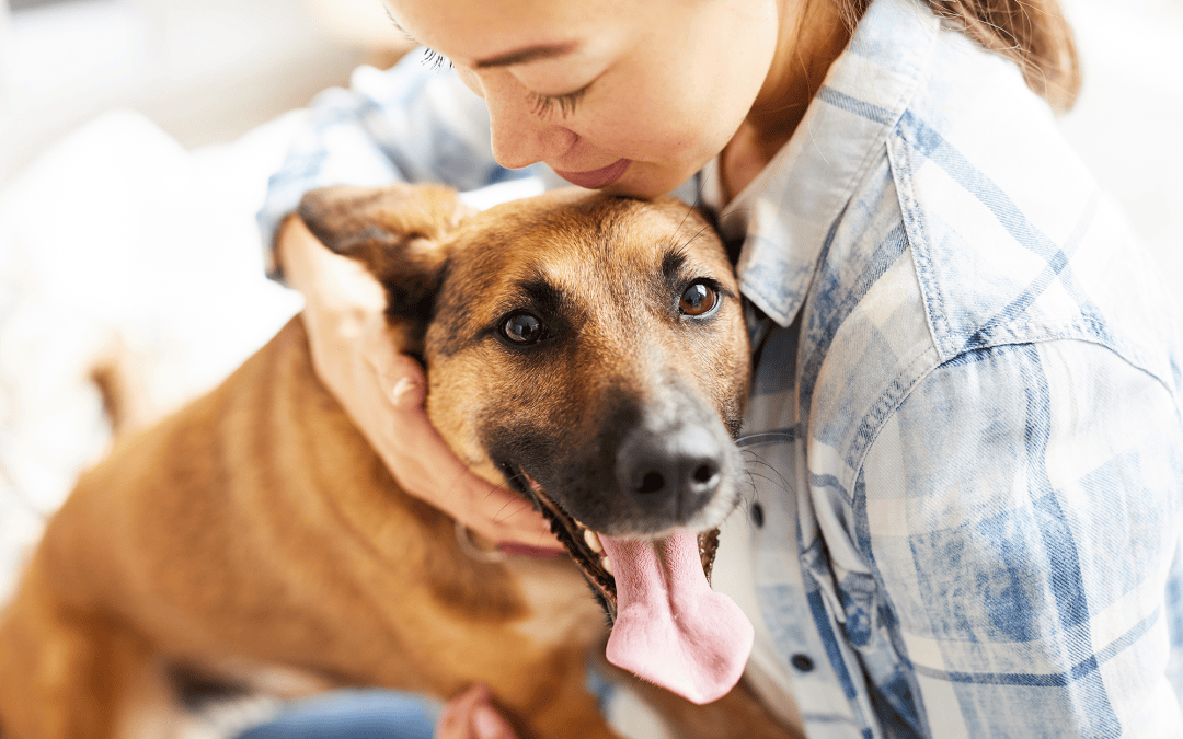 6 signs your pet might have fleas