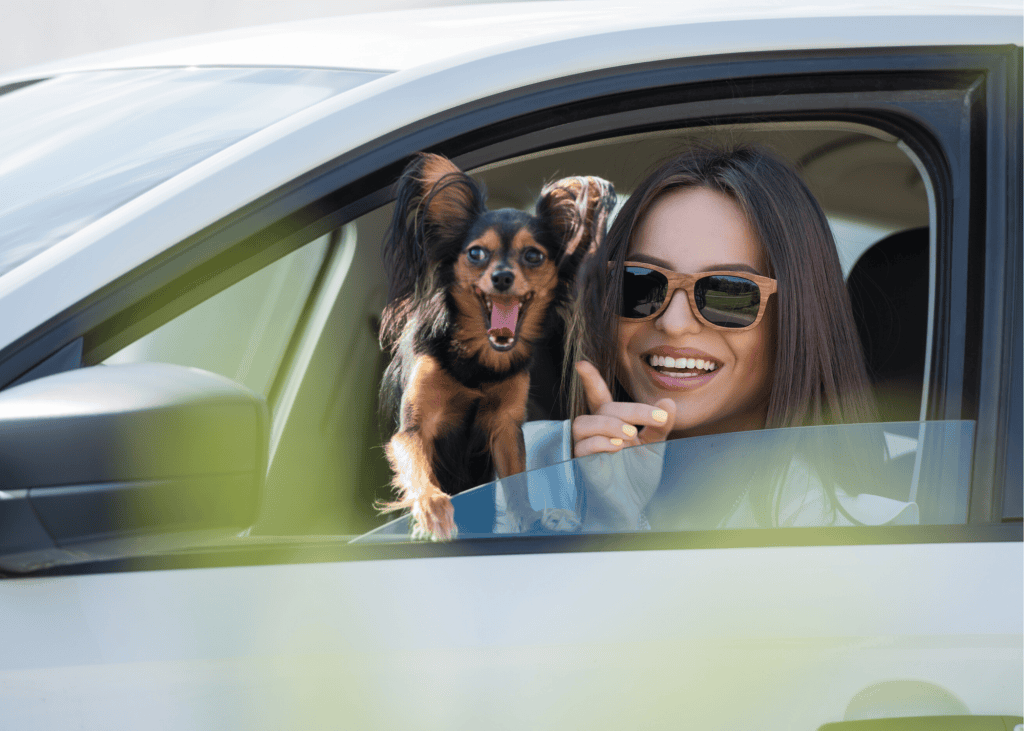 How to Implement Curbside Veterinary Visits - Vetsource