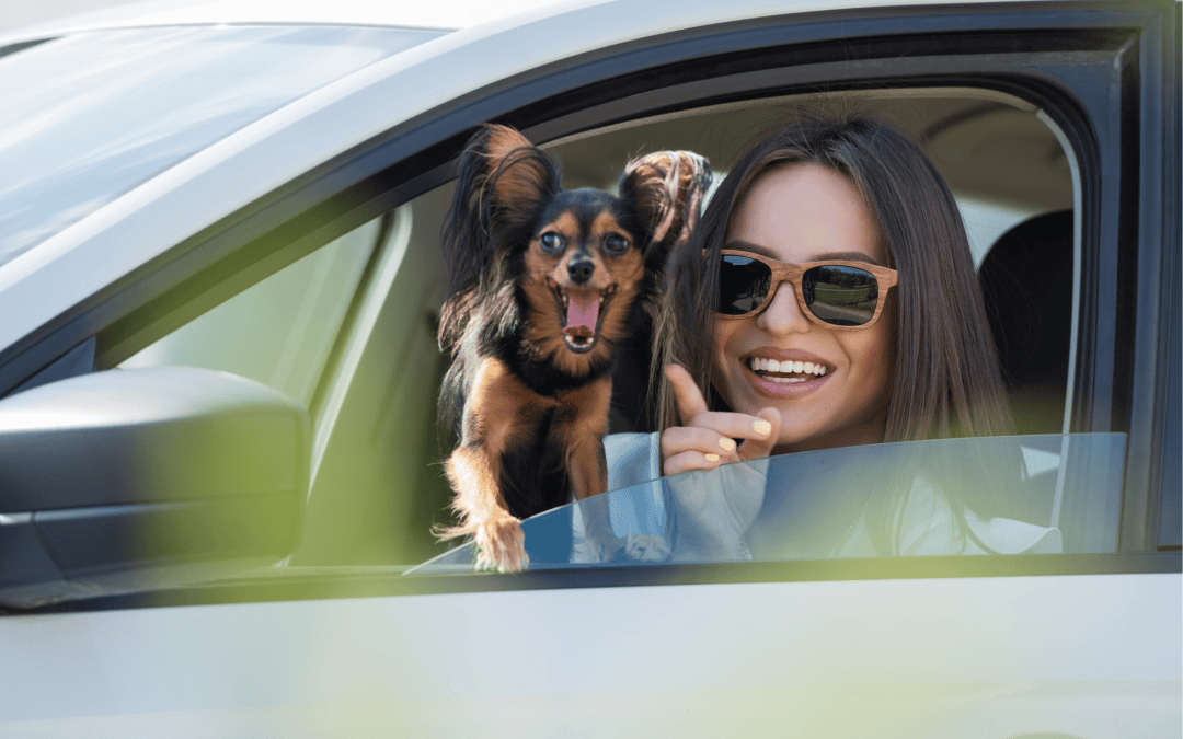 Paving the path to curbside veterinary visits
