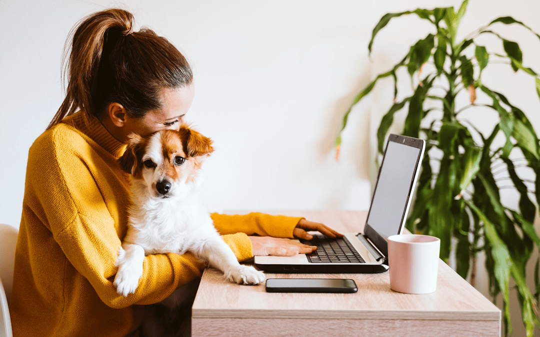 Why pets at work are a win-win