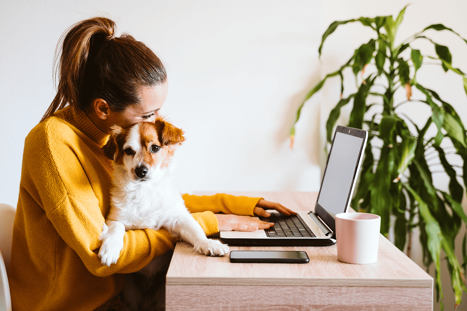 woman with a dog working on her computer