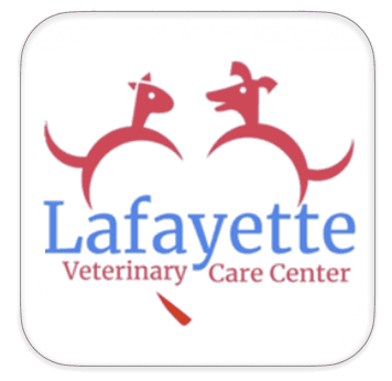 Practice spotlight: Lafayette Veterinary Care Center