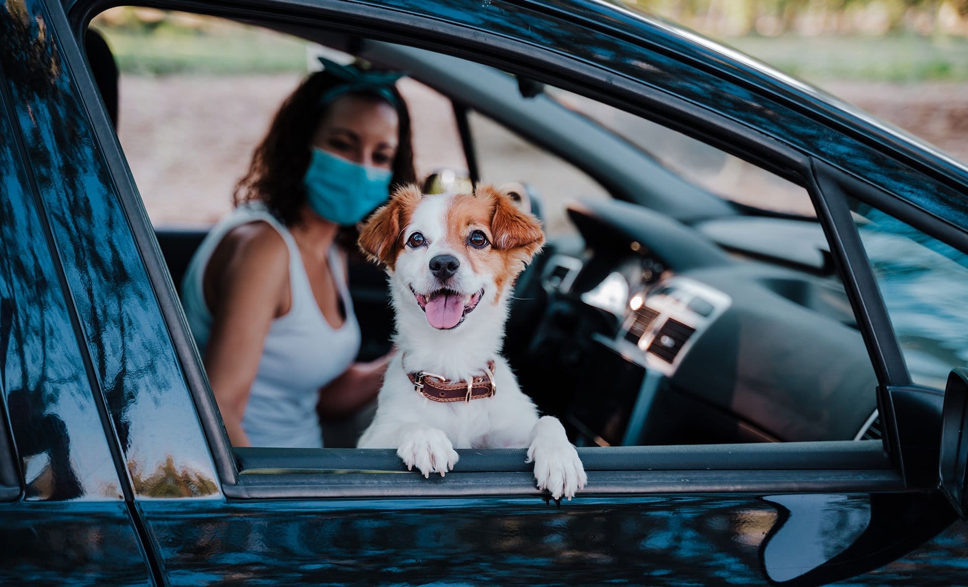 pet owner curbside care with dog covid