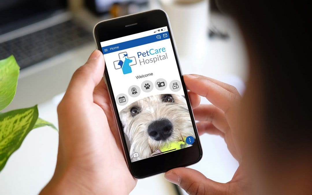 Tips for increasing your veterinary hospital app downloads