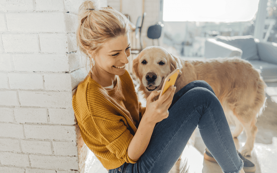 Keep pet product recommendations top of mind for pet owners