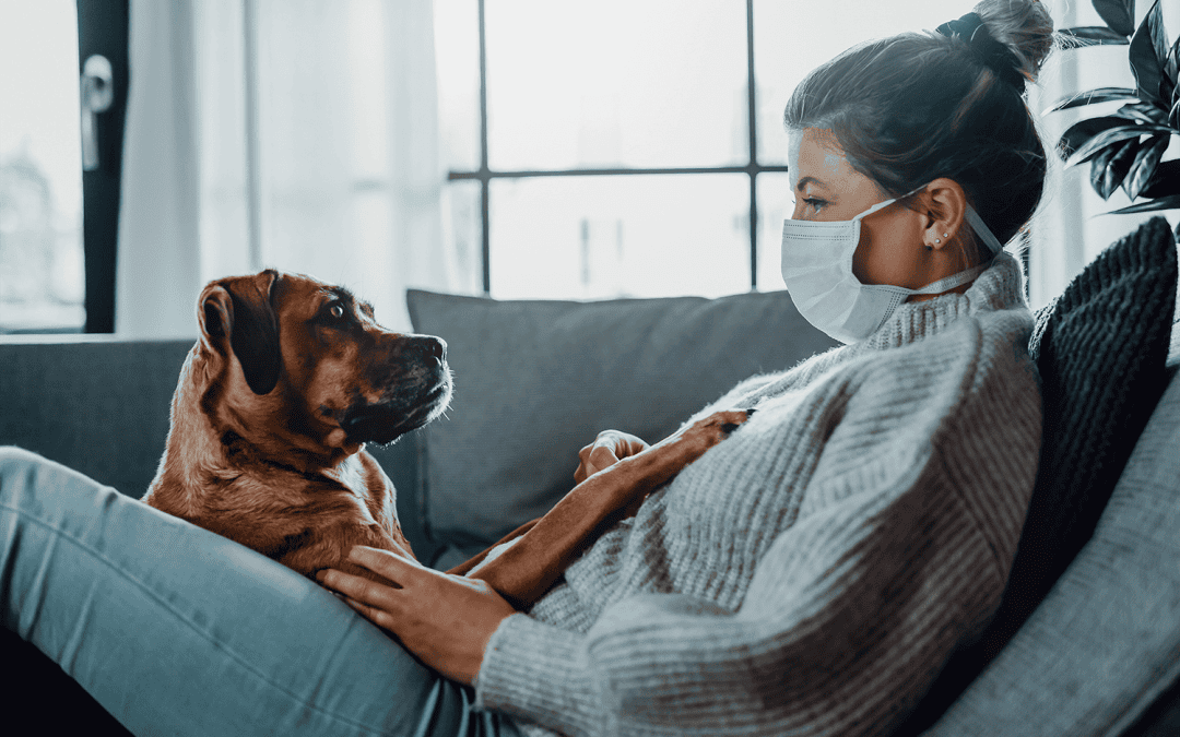 Can my pet get illnesses from me?