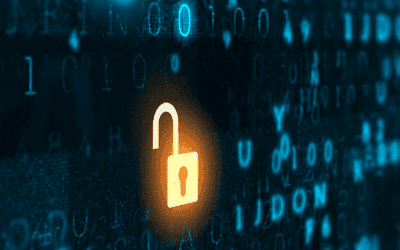 Veterinary cybersecurity checklist: Is your practice safe?