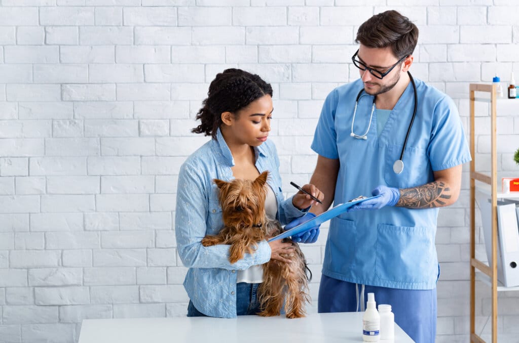 Dog owner on visit to veterinarian doctor at animal hospital, blank space