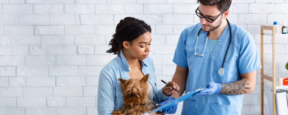 Stay competitive by giving your veterinary clients more of what they want