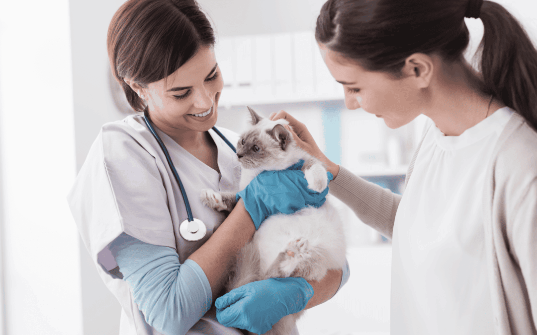 Mars Petcare invests in Vetsource and its open platform vision for the veterinary industry