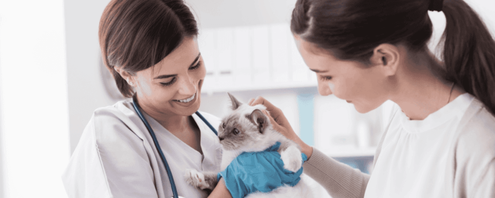 Mars Petcare invests in Vetsource and its open platform vision for the veterinary industry
