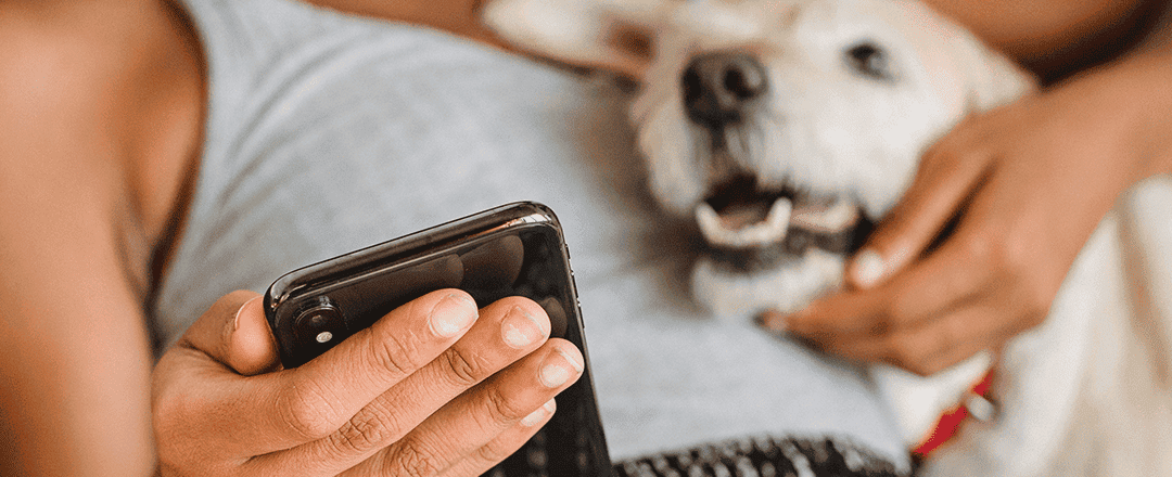 Build or buy? Your custom veterinary practice app questions answered