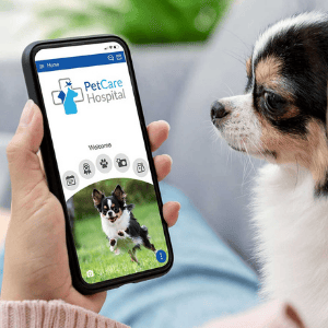 pet owner using veterinary engagement platform