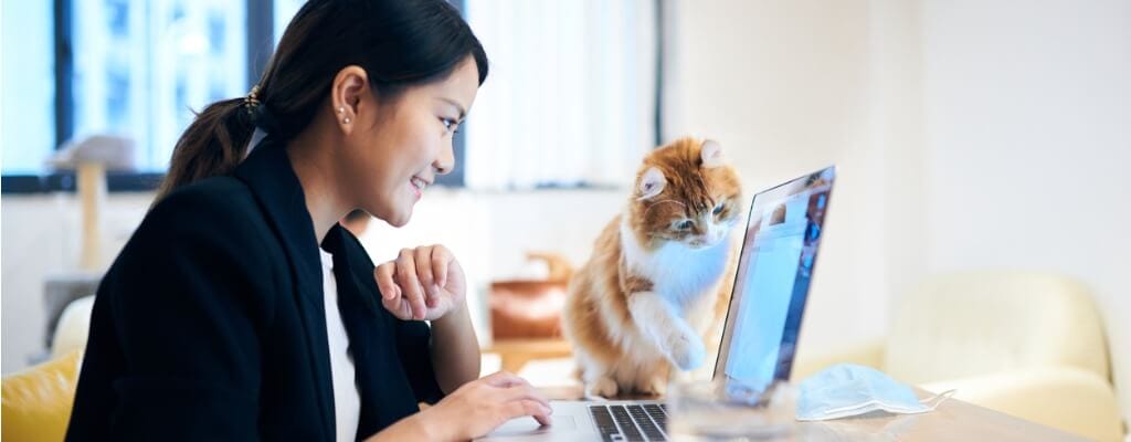 Asian woman smiling at her cat while it looks at her laptop