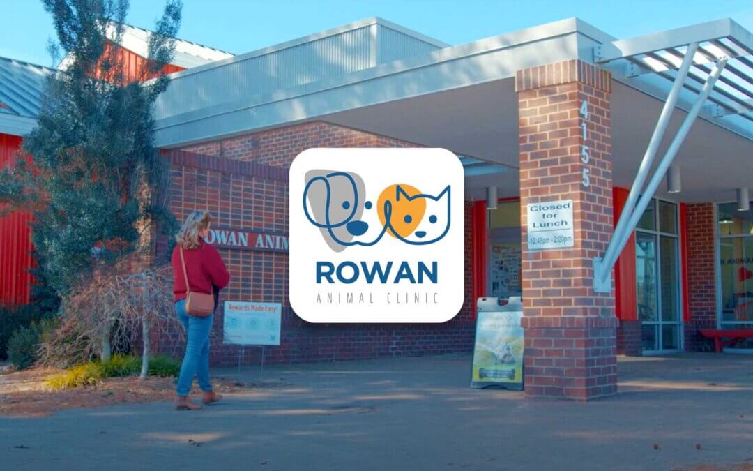 Practice spotlight: Rowan Animal Clinic