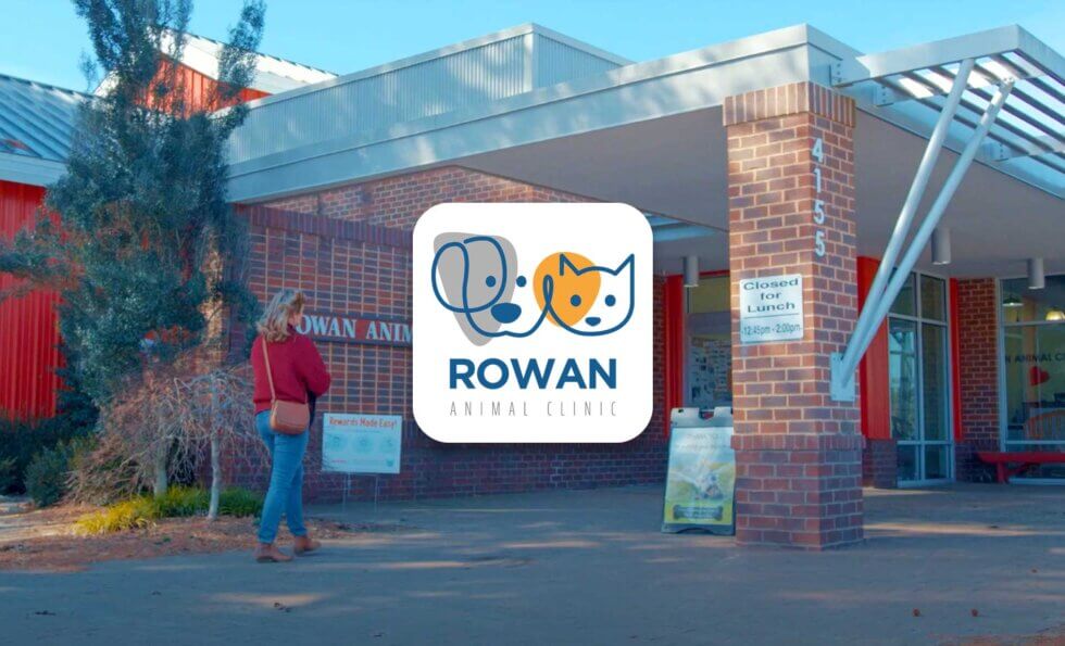 Rowan Animal Clinic Exceeds Their Goals With Vet2Pet Vetsource