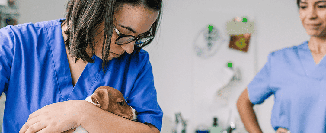 How your practice can celebrate Vet Tech Week in October amidst workforce crisis