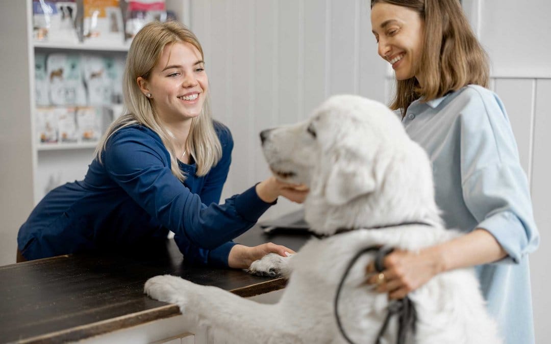 10 ways to deliver the ultimate veterinary client experience