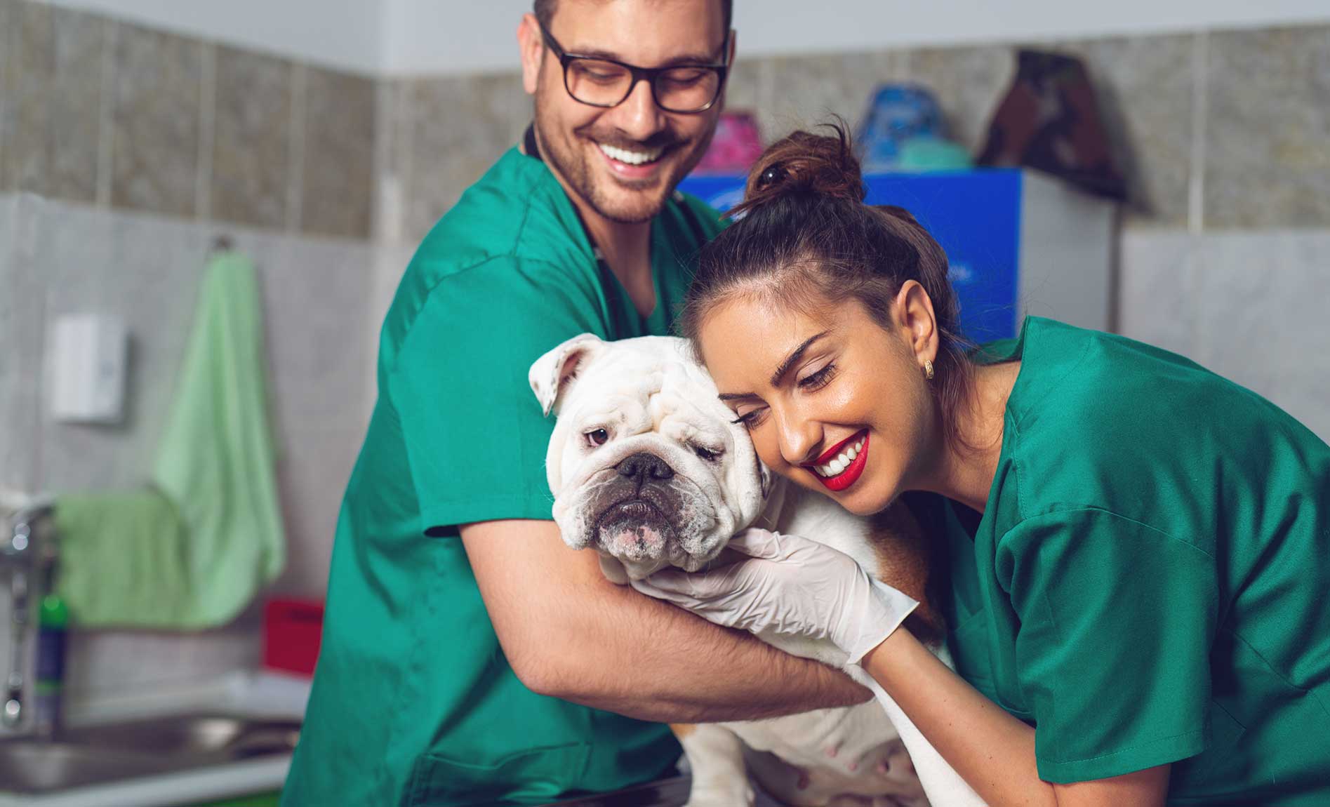veterinarians seeing dog in animal hospital