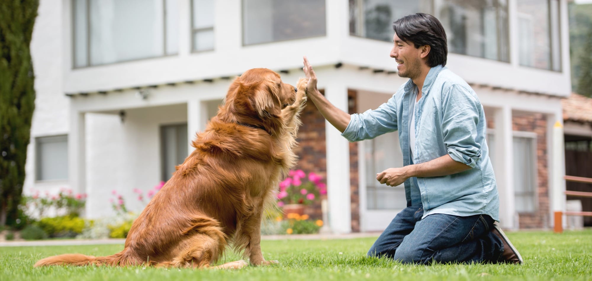man training a dog to high-five, at home in their yard