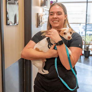 veterinary staff holding dog