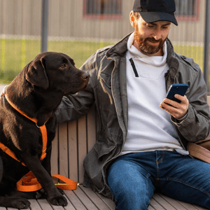 3 ways to engage veterinary clients between visits