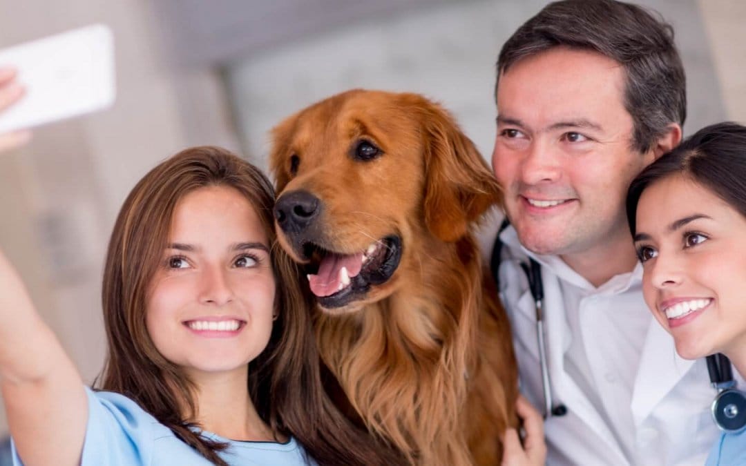 3 ways technology can help your veterinary practice connect with clients