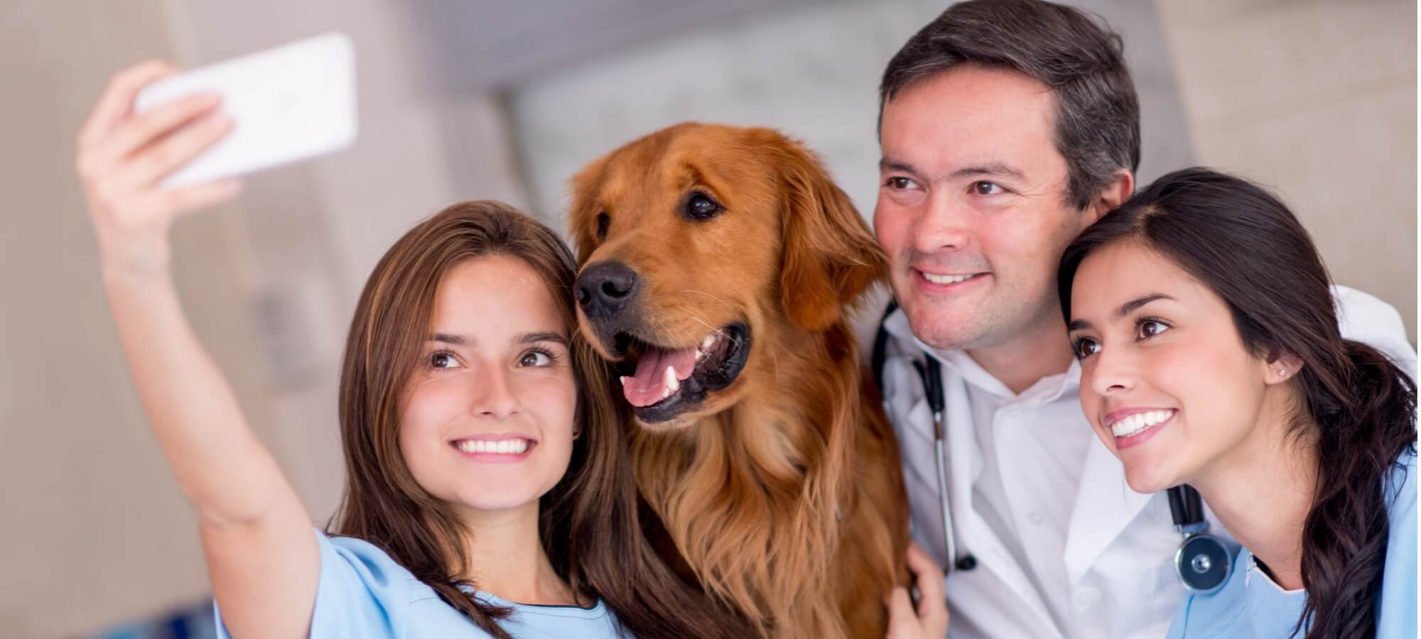 veterinary staff taking a selfie with a golden retriever dog