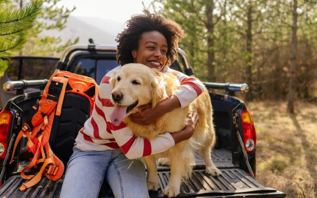 Buckle up with these pet safety tips