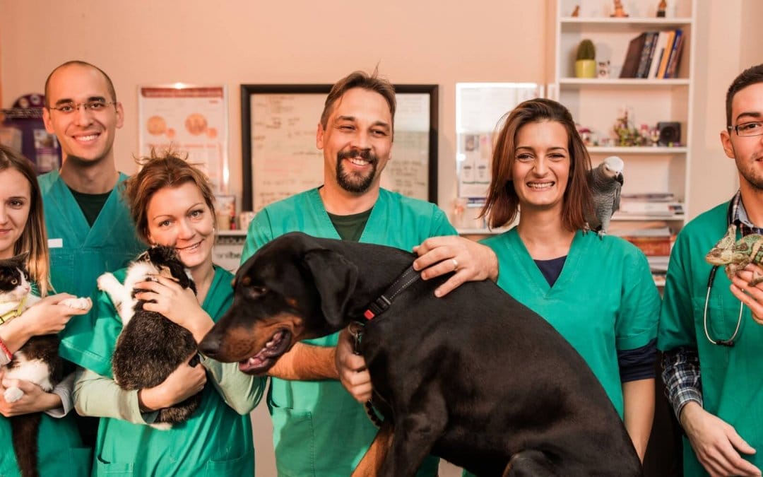 3 tips to foster positive culture at your veterinary practice