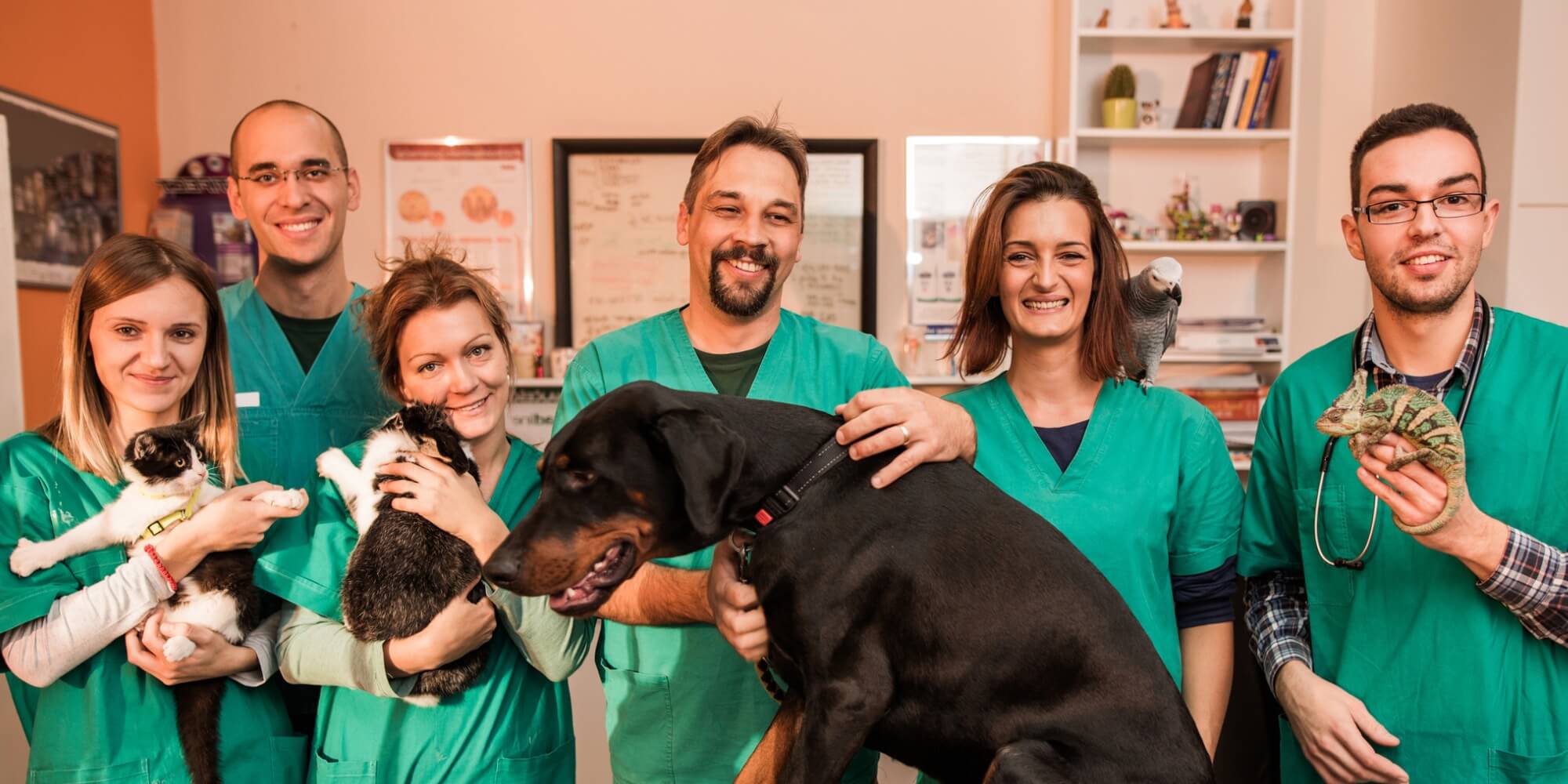 group of smiling veterinary staff with large black dog on exam table