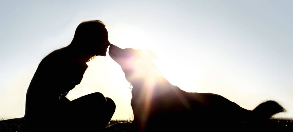 silhouette in the sunset of a woman and dog touching noses