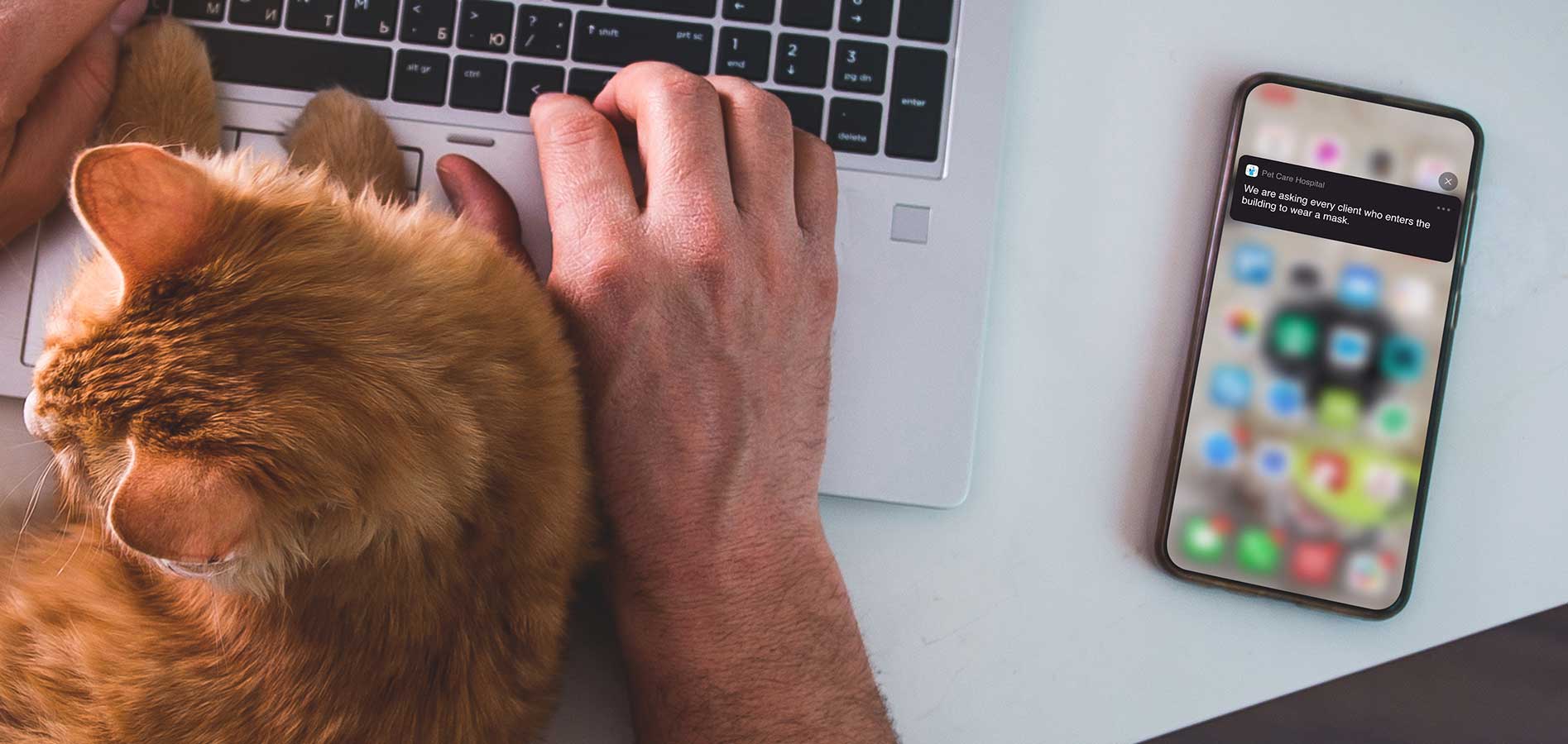 veterinary platform push notification