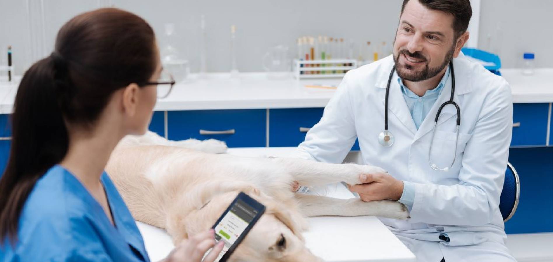 veterinarian and technician talking with tablet and dog on table