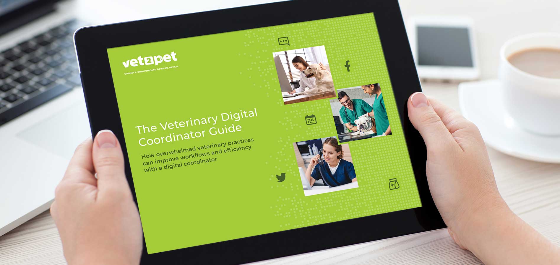 veterinary digital coordinator guide