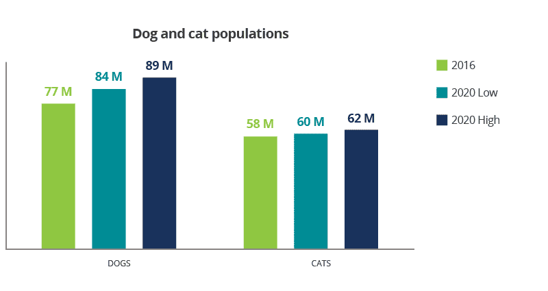 A bar graph showing dog and cat populations in 2016 and 2020 (low and high).