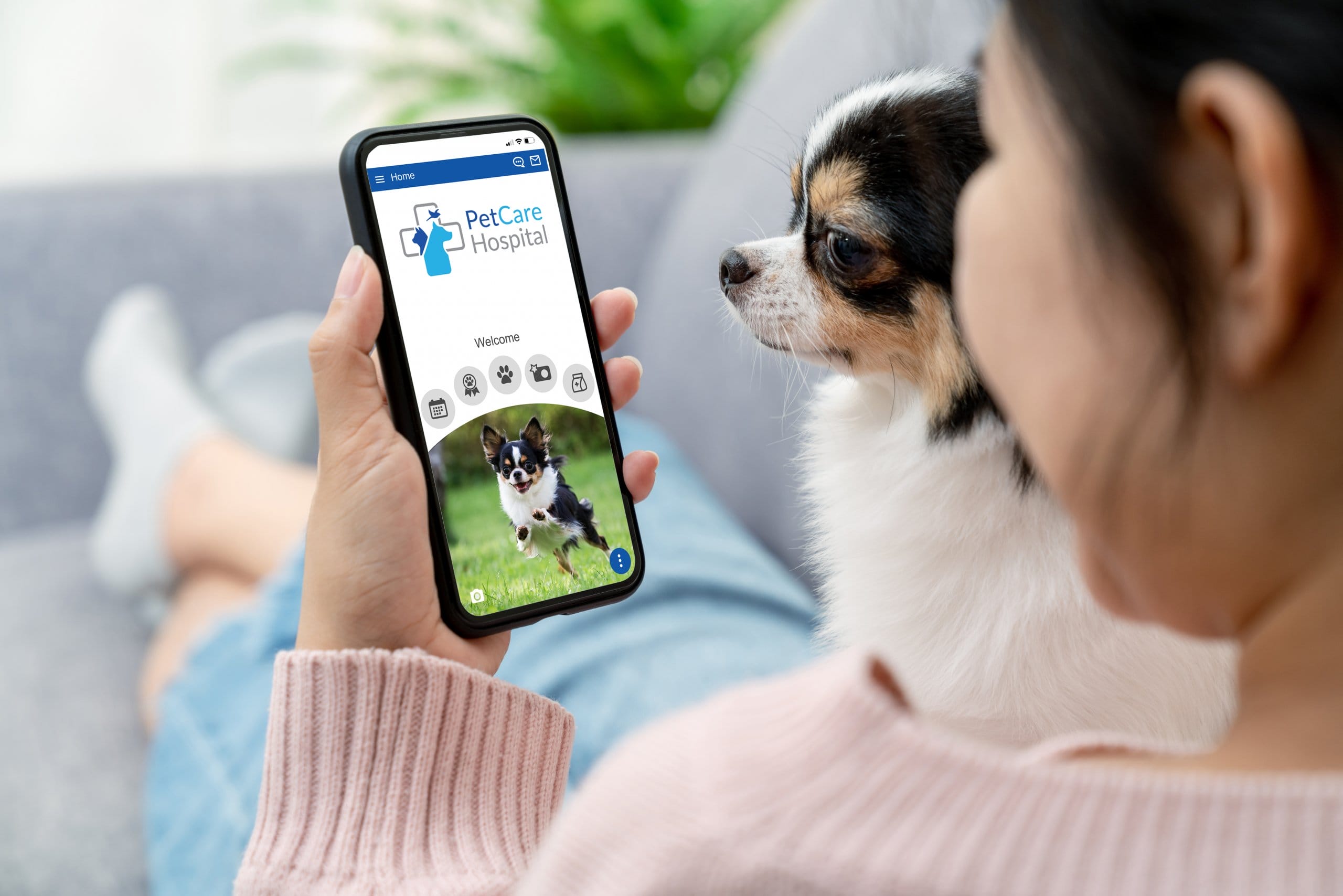 Puppy's Caring Pet Veterinary - Apps on Google Play