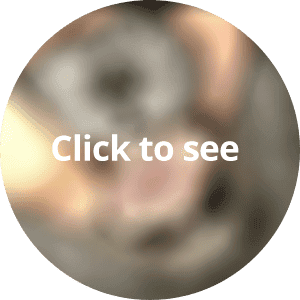 A second graphic image of Feline Stomatitis aka Gingivostomatitis