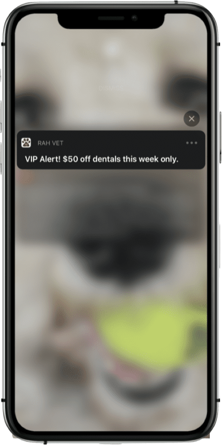 an image of a dental health promotion alert on a mobile phone
