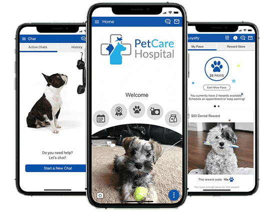 An image of 3 phone screens showcasing a custom veterinary practice app